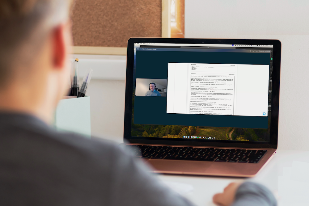 revisjon webinar